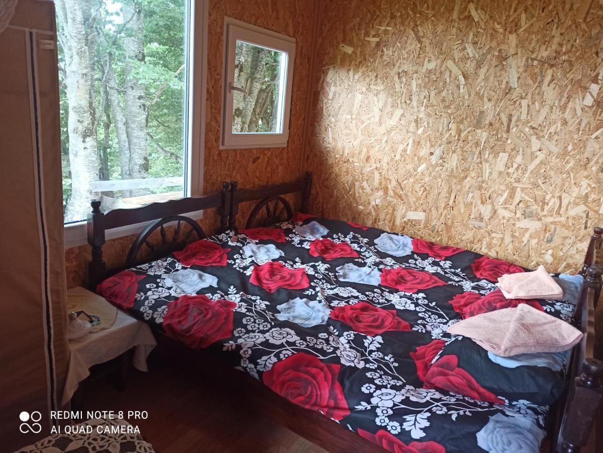Hotel Katun Ljeljenak Plužine Exterior foto